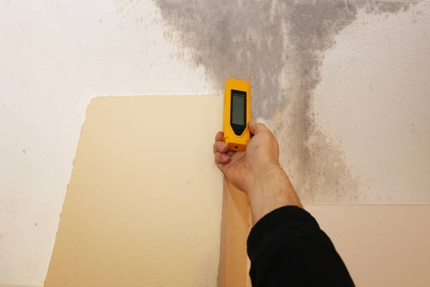 Mold Remediation for Rental Properties in Hudson Lake, IN