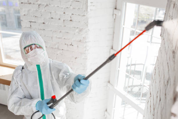 Best Mold Remediation for Rental Properties  in Hudson Lake, IN