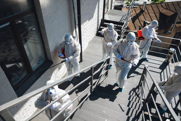 Best Mold Prevention Services  in Hudson Lake, IN