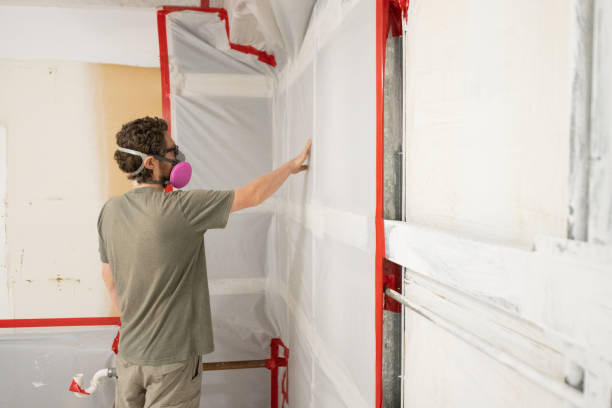 Best Emergency Mold Remediation  in Hudson Lake, IN