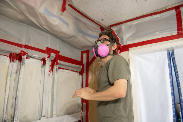  Hudson Lake, IN Mold Removal Pros