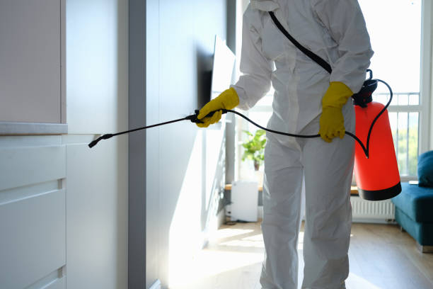 Best Mold Damage Restoration  in Hudson Lake, IN
