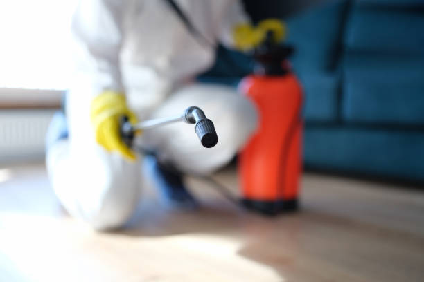 Best Dehumidification Services  in Hudson Lake, IN