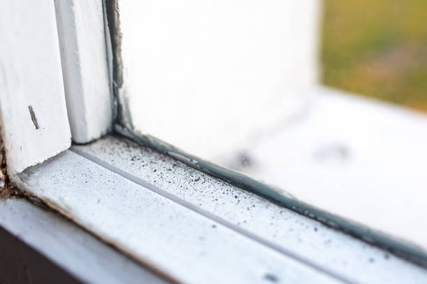 Best Air Quality Testing for Mold Spores  in Hudson Lake, IN