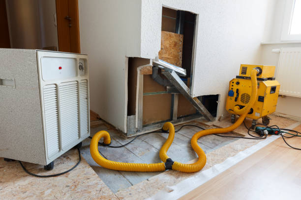 Best Post-Remediation Verification Testing  in Hudson Lake, IN