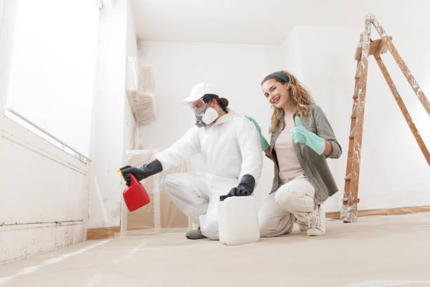 Best Forensic Mold Investigation  in Hudson Lake, IN