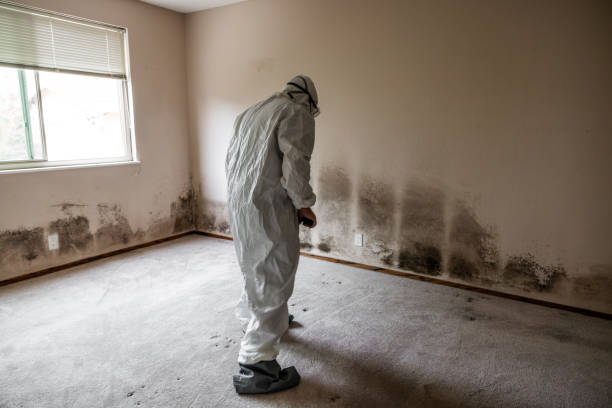 Best Asbestos and Lead Testing During Mold Inspection  in Hudson Lake, IN