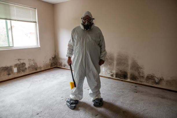 Best Mold Remediation for Healthcare Facilities  in Hudson Lake, IN